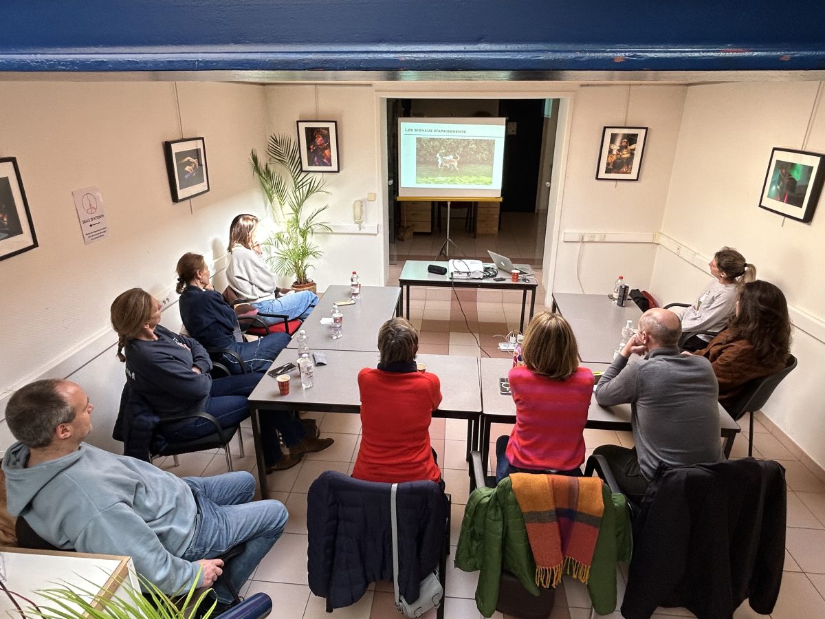 Participants lors d’un atelier formatif