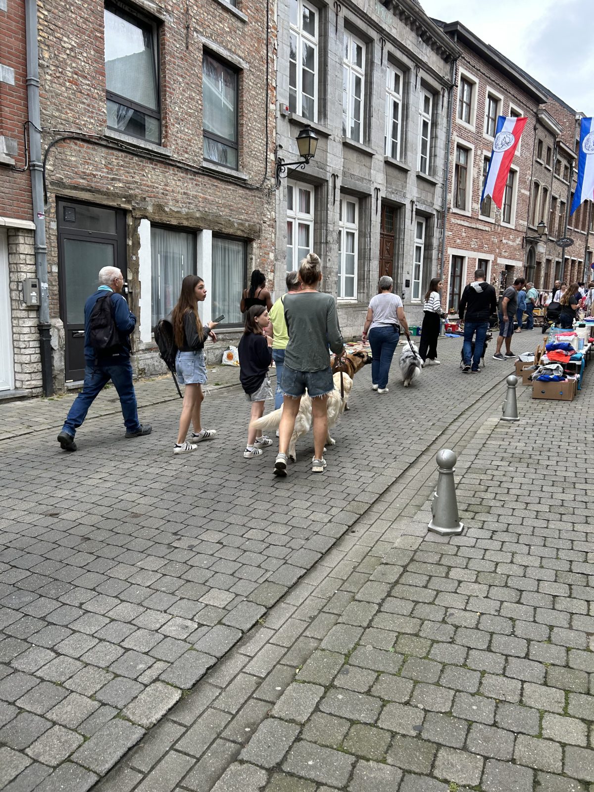 Un groupe et ses chiens en balade dans une rue, en ville