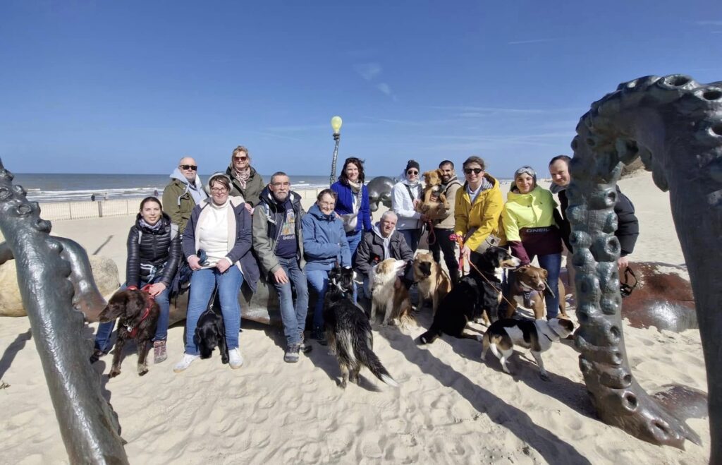 494039893 1253814113412099 7514766930553669855 n