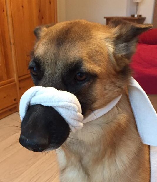 91301159 644969523005669 7038116857315852288 n 2