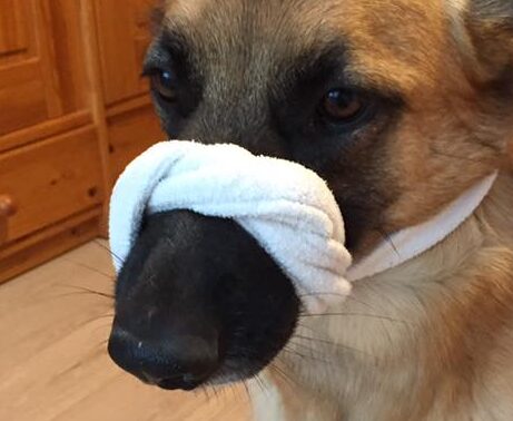 91301159 644969523005669 7038116857315852288 n 3