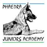 logo borealis 300 dpi