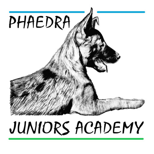 logo borealis 300 dpi